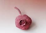 Pomegranate-2009-135x25x12cm-stoneware-lusterglaze-glass-2