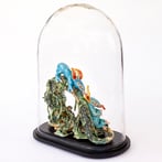 MangroveLongsnoutMice003