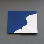 PRS2306-3 If I were smarter I would have seen the signs, 2023, h.35x45x4,5cm, stoneware-porcelain-stains-MDF-board-vinyl paint, TerraDelft2