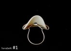 19-11-Ring1-element-h.27x28x28cm-porcelain-silver-size-17-TerraDelft-3