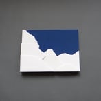 PRS2306-2 If I were smarter I would have seen the signs, 2023, h.30x40x5cm, stoneware-porcelain-stains-MDF-board-vinyl paint, TerraDelft1