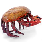 GarnetCrab02