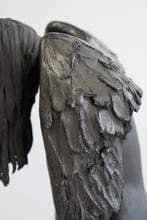 Defeated-vleugels-Detail