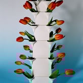 Frans-Ottink-tulpentoren
