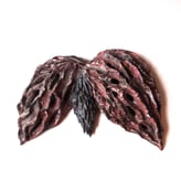 HT2406 Wall object wings, h.13x9x5,5cm, TerraDelft1