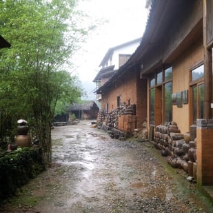 Terra in China 2016