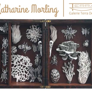 Katharine Morling: ‘My nature’, solo expo