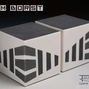 Challenged in porcelain; Wim Borst solo