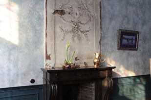 Kunstkamer Delft voorjaar 2017