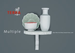 Terra 30! Multiple