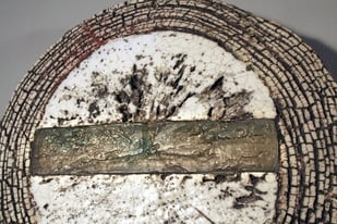 Susanne Silvertant