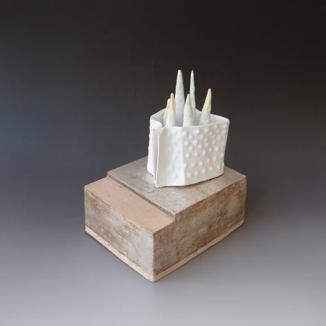 Márta Nagy; Evergreen Winter, 2009, porcelain, stoneware, silver leaf, 21x19x14,5cm,TerraDelft 1