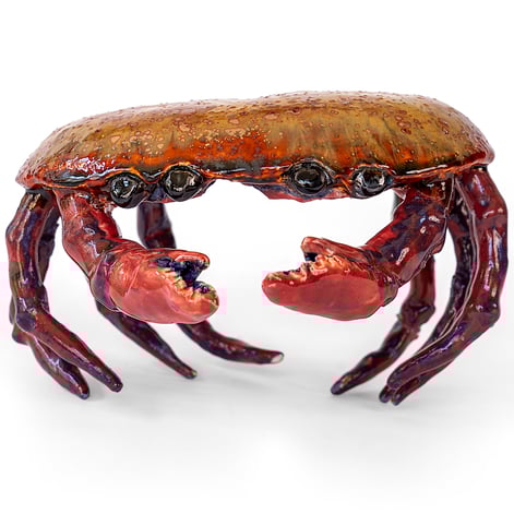 GarnetCrab01