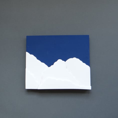 PRS2306-1 If I were smarter I would have seen the signs, 2023, h.28x33x5cm, stoneware-porcelain-stains-MDF-board-vinyl paint, TerraDelft3
